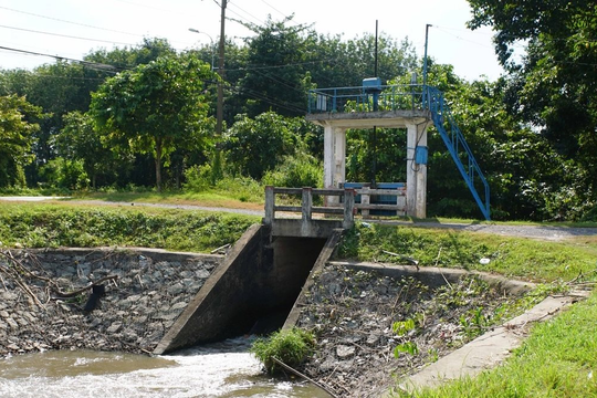 TP.HCM siết an toàn đê điều, thủy lợi trước mùa mưa lũ 2026