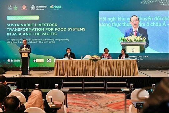 Đổi mới sáng tạo mở lối cho chuyển đổi chăn nuôi bền vững tại châu Á - Thái Bình Dương