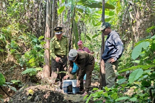 Thả 11 cá thể động vật hoang dã về rừng tại Phong Nha - Kẻ Bàng