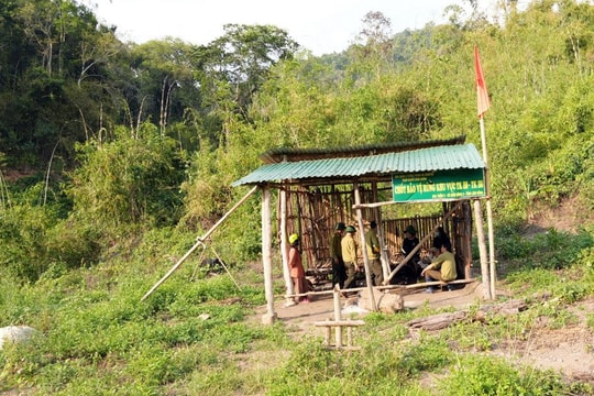 Một tuần xảy ra 10 vụ phá rừng, Lâm Đồng chỉ đạo xử lý nghiêm cán bộ vi phạm