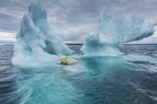 Hệ thống khí hậu toàn cầu rơi vào trạng thái mất cân bằng nghiêm trọng