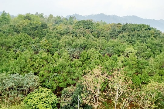 Việt Nam cán mốc 36 vườn quốc gia