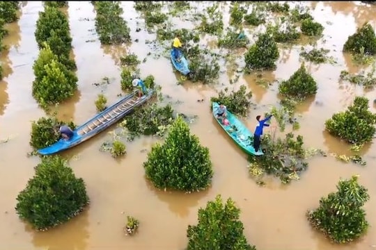Biến đổi khí hậu – Thách thức lớn đối với tăng trưởng kinh tế và phát triển bền vững của Việt Nam
