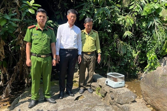 Phát hiện cu li quý hiếm trên cục nóng điều hòa, kịp thời thả về rừng