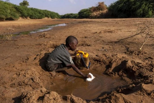 Sóng nhiệt gia tăng, châu Phi đối mặt khủng hoảng khí hậu