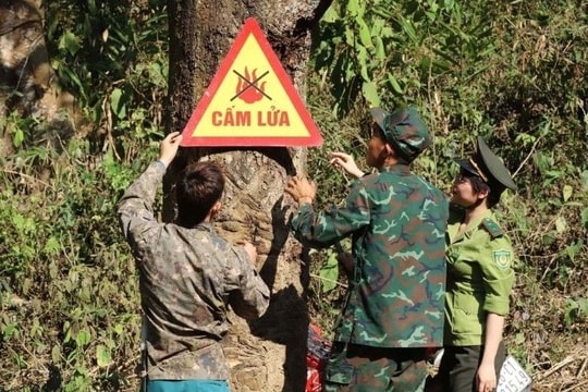 Nắng nóng gay gắt cục bộ, Sơn La tăng cường phòng, chống cháy rừng