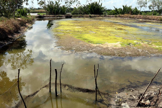 Xâm nhập mặn âm thầm lan rộng đe dọa nguồn nước và sinh kế toàn cầu