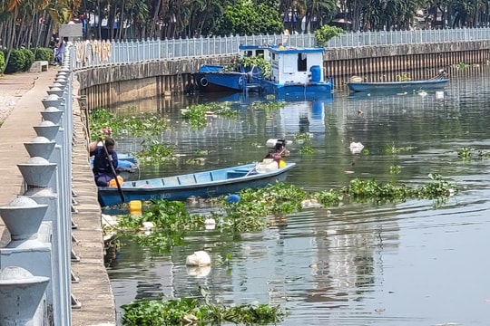 TP.HCM tăng cường xử lý lục bình, rác thải trôi dạt ra biển