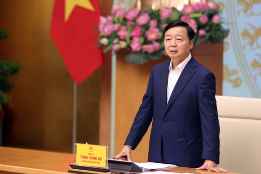 Quyết liệt gỡ “thẻ vàng” IUU: Tập trung khắc phục triệt để khuyến nghị của EC