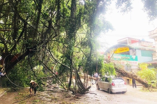 Mưa đá, gió giật mạnh làm đổ nhiều cây, hư hỏng ô tô tại Đền Hùng