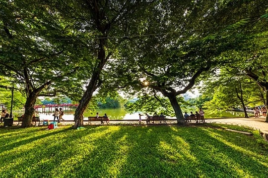 Dự báo thời tiết Hà Nội ngày 31/03/2026: Đêm có mưa rào, ngày nắng