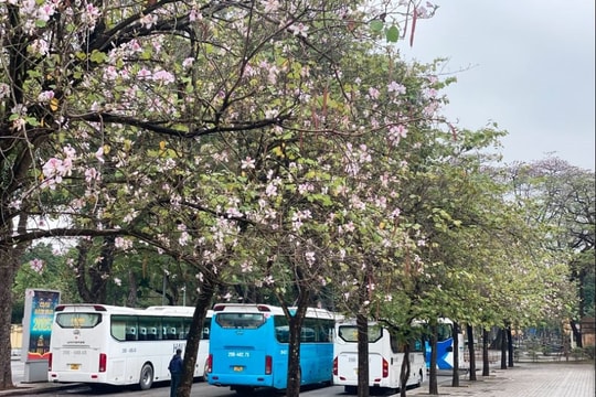 Dự báo thời tiết Hà Nội ngày 01/04/2026: Ngày có mưa vài nơi, trưa chiều hửng nắng