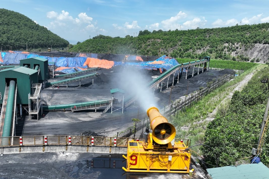 Kiên định với hành trình chuyển đổi “nâu” sang “xanh”