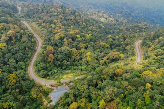 Tăng cường triển khai quy định giảm phát thải khí nhà kính và bảo vệ tầng ô-dôn trên địa bàn tỉnh Nghệ An