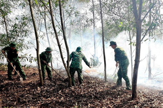 Khống chế kịp thời vụ cháy rừng phòng hộ ven biển tại Quảng Trị