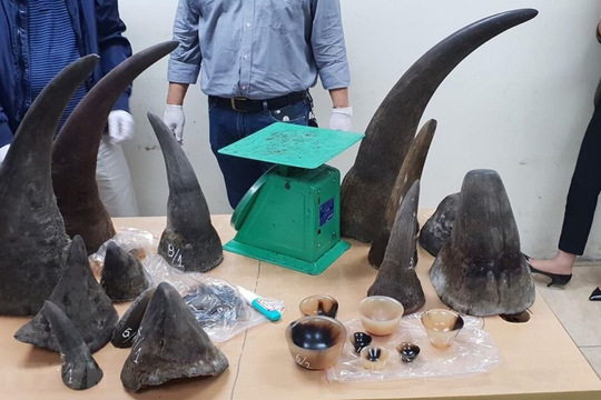 Xử lý nghiêm hành vi vi phạm về bảo vệ động vật hoang dã, bảo tồn đa dạng sinh học