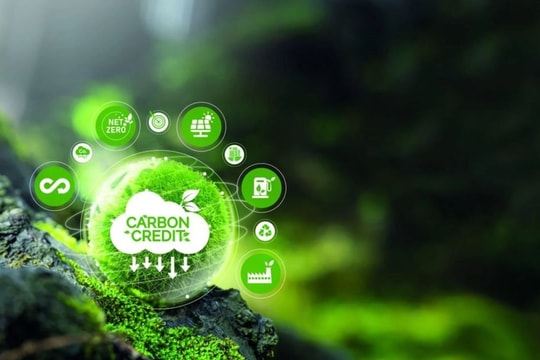 Việt Nam thiết lập khung pháp lý trao đổi tín chỉ carbon toàn cầu