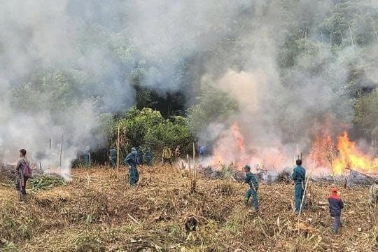 Điện Biên tăng cường phòng cháy rừng