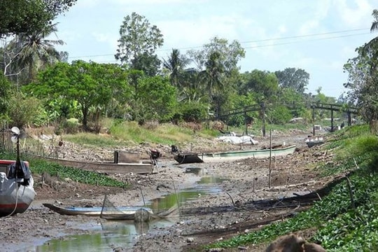 Xâm nhập mặn tại Đồng bằng sông Cửu Long gia tăng trong tháng 4