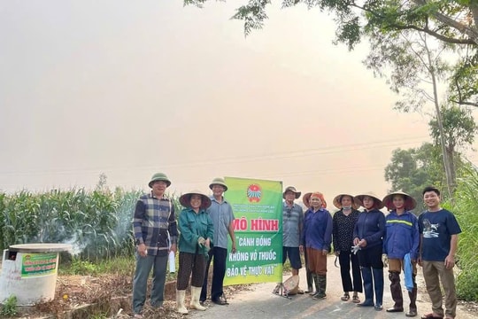 Nghệ An: Nông dân xã Nghi Lộc ra quân thu gom vỏ thuốc bảo vệ thực vật