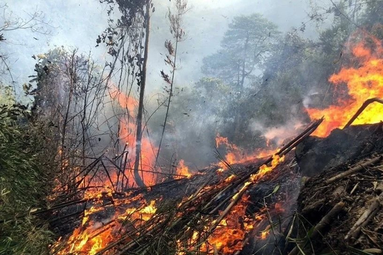 Nắng nóng gay gắt vượt 40°C lan rộng, nguy cơ cháy rừng tăng cao