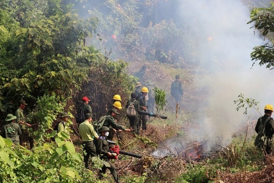 Đà Nẵng vào cao điểm nắng nóng, siết chặt phòng cháy rừng cấp IV
