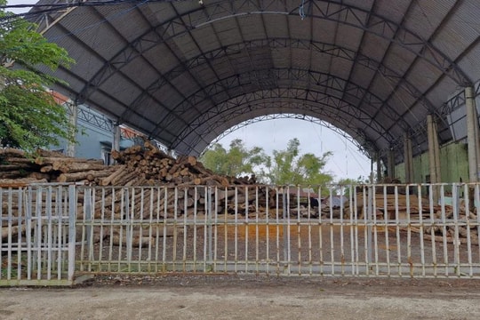 Đà Nẵng: Yêu cầu xưởng gỗ khắc phục ô nhiễm trong 15 ngày