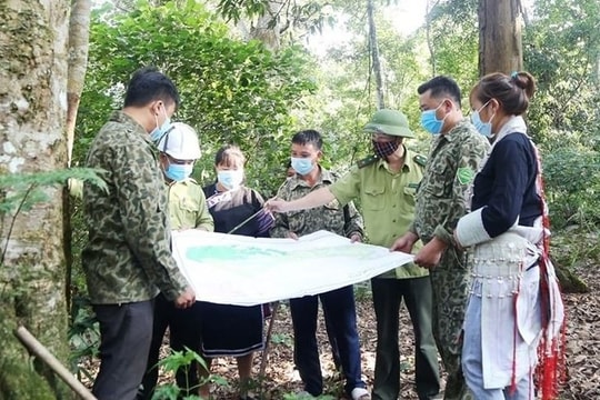 Thái Nguyên nâng cao hiệu quả quản lý rừng nhờ giải pháp đồng bộ