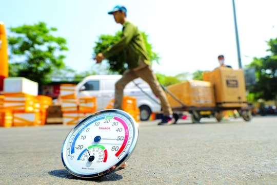 Chủ động ứng phó nắng nóng cực đoan, siết chặt phòng cháy rừng