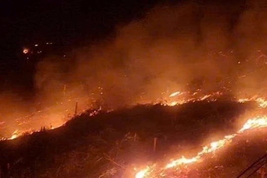 Nghệ An: Kịp thời khống chế cháy rừng trên địa bàn