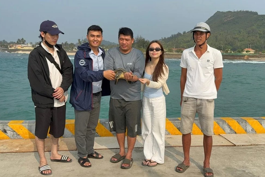 Cứu hộ, thả về biển cá thể đồi mồi quý hiếm mắc “lưới ma”