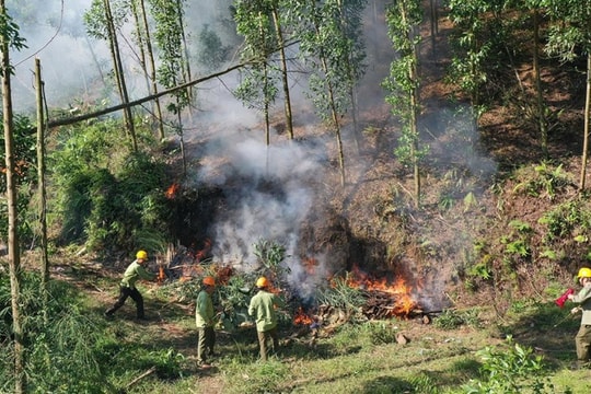 Bắc Ninh nâng cảnh báo cháy rừng lên cấp nguy hiểm