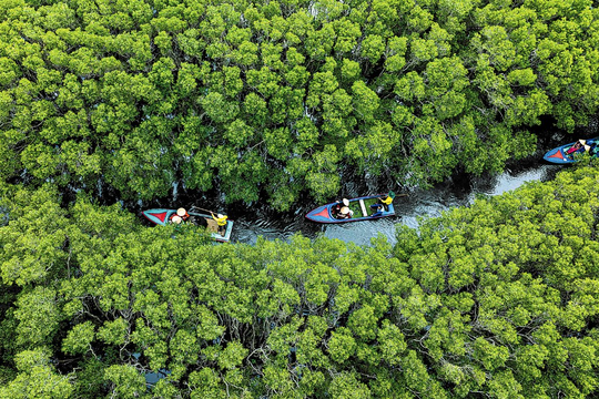 Thúc đẩy đầu tư cho các-bon xanh dương tại Việt Nam