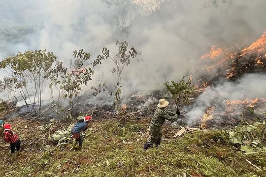 Siết chặt phòng cháy rừng tại Lào Cai trong cao điểm khô hạn