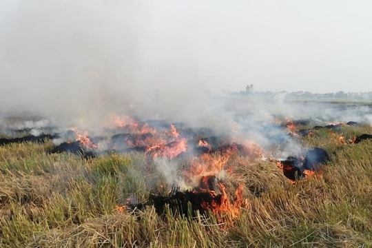 Xử lý nghiêm đốt rơm rạ, giảm áp lực ô nhiễm không khí