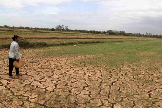 Ứng dụng AI xây “lá chắn số” chống xâm nhập mặn ở Đồng bằng sông Hồng