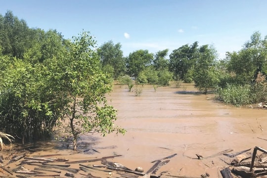 Nước Mekong tăng, đồng bằng vẫn thiếu nước cục bộ