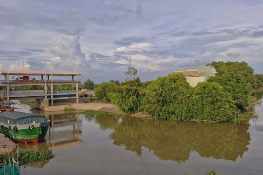 An Giang chủ động kiểm soát mặn, bảo vệ sản xuất nông nghiệp