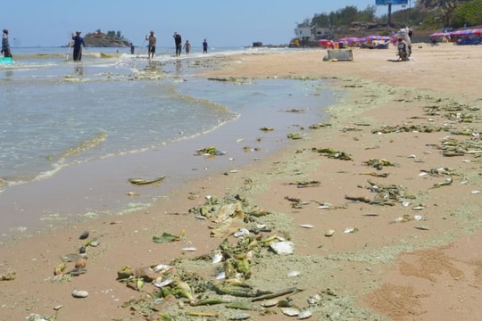 Hiện tượng nước biển đổi màu ở bãi Sau (Vũng Tàu) không phải do ô nhiễm