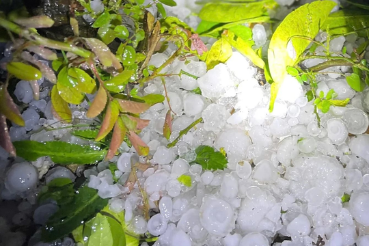 Miền Bắc đón 3 đợt không khí lạnh liên tiếp, cảnh báo dông lốc, mưa đá nguy hiểm