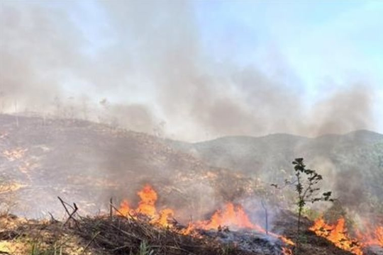 Nghệ An siết trách nhiệm người đứng đầu trong cao điểm cháy rừng