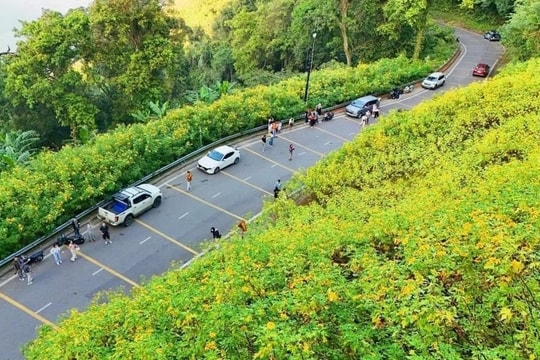 Ra mắt hệ sinh thái hỗ trợ doanh nghiệp giảm phát thải