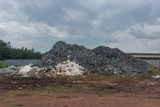 Đồng Nai: Khởi tố 2 đối tượng đổ hàng trăm tấn chất thải da bò ra môi trường