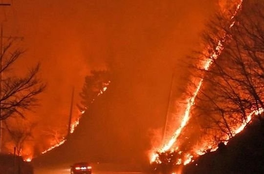 Cháy rừng bùng phát ở Gyeongsang Bắc, Hàn Quốc khẩn cấp sơ tán người dân