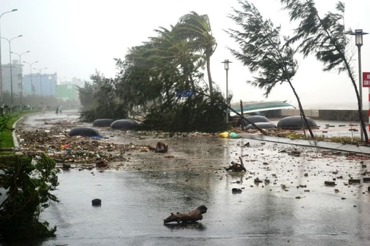 Bão và áp thấp nhiệt đới có xu hướng gia tăng trong giai đoạn đầu mùa