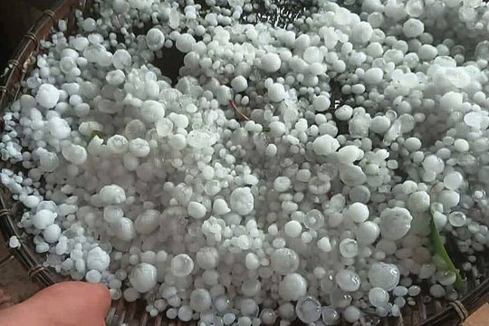 Mưa đá, gió lốc gây thiệt hại nặng tại Sơn La