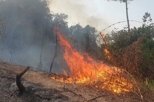 Siết chặt phòng cháy rừng trong cao điểm nắng nóng