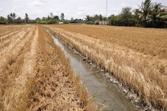 Xâm nhập mặn duy trì mức cao đầu tuần, giảm dần cuối tháng 4