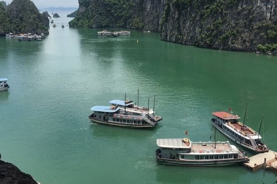 Phê duyệt nhiệm vụ lập Quy hoạch bảo tồn, phát huy tiềm năng vịnh Hạ Long đến năm 2035, tầm nhìn 2050