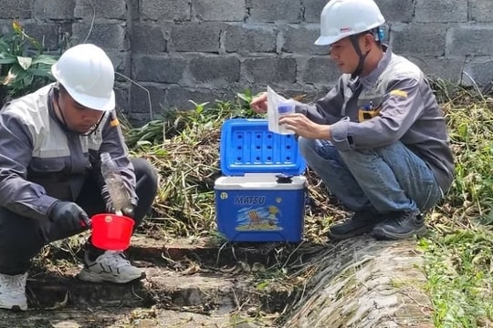 Hải Phòng tăng cường kiểm tra, siết chặt quản lý môi trường